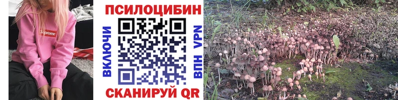 Псилоцибиновые грибы MAGIC MUSHROOMS  купить наркотик  shop официальный сайт  Чапаевск 
